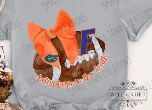 Saturdays In The South - Gators