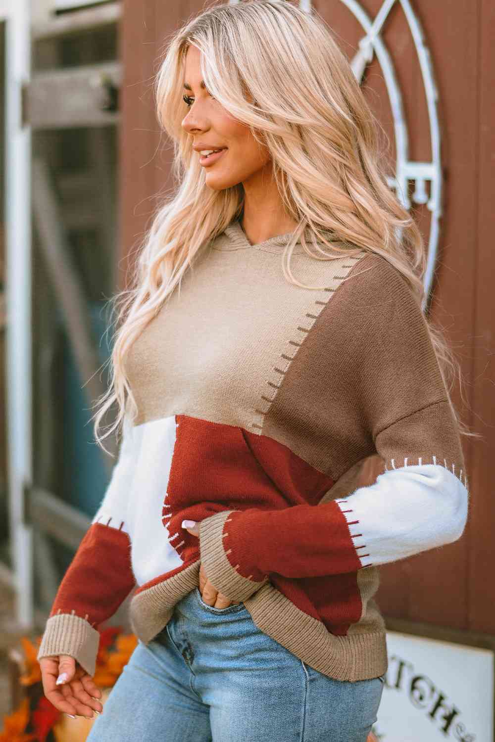 Color Block Long Sleeve Hooded Sweater