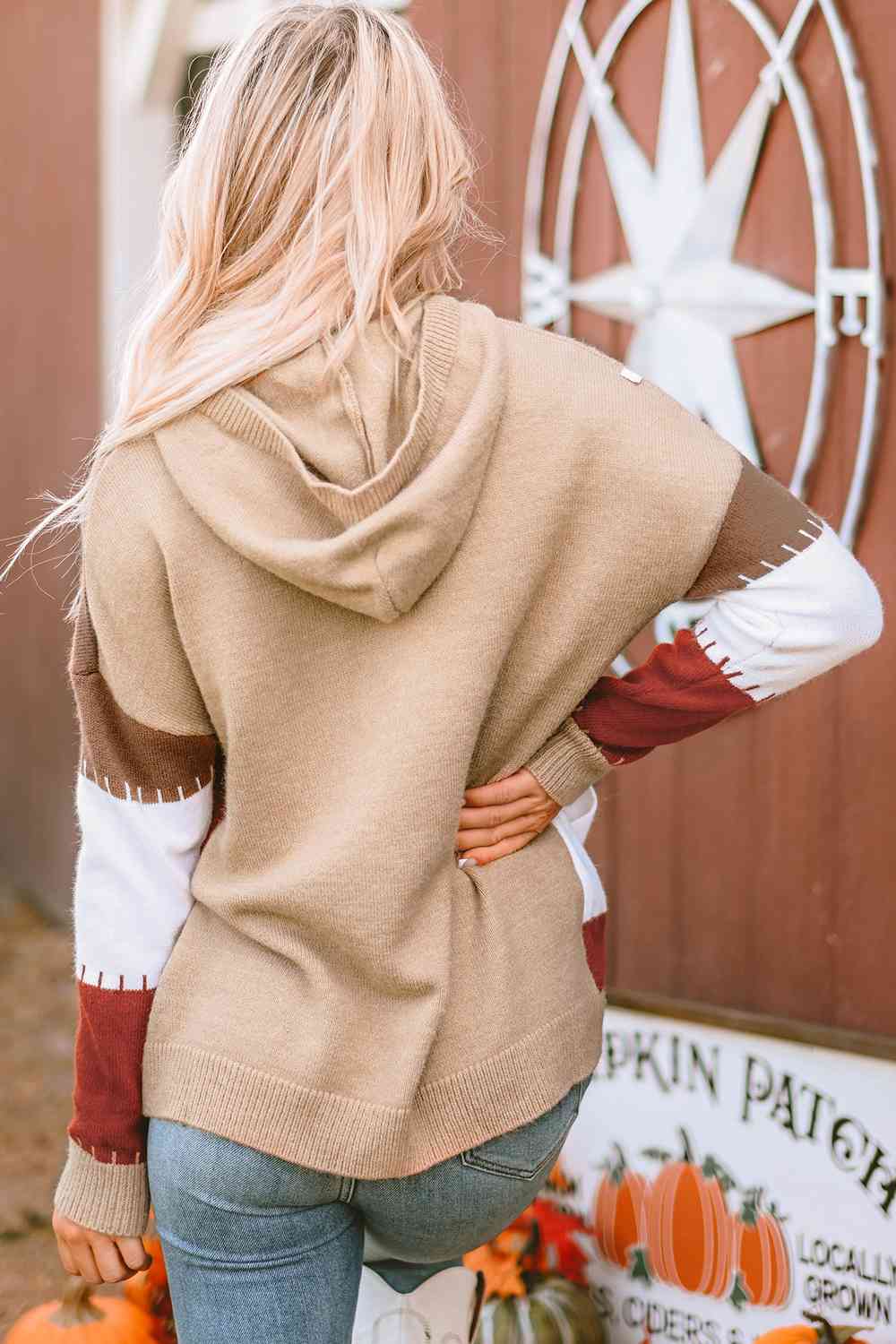 Color Block Long Sleeve Hooded Sweater